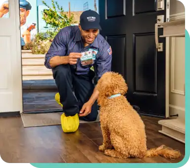 A delivery worker in uniform kneels inside a doorway, holding a product and smiling at a curly-haired dog sitting on the floor—delivering more than packages, perhaps even details of a maintenance plan.